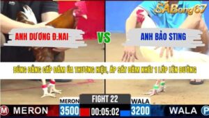 TRẬN 22 CPC2 13/3/2026