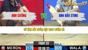 TRẬN 22 CPC2 20/3/2026