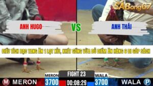 TRẬN 23 CPC2 25/3/2026