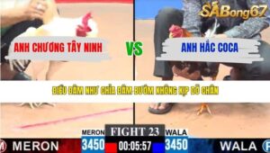 TRẬN 23 CPC3 22/3/2026