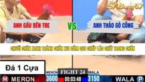 TRẬN 24 CPC3 15/3/2026