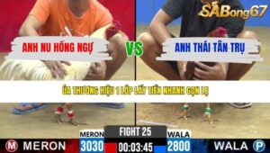 TRẬN 25 CPC2 19/3/2026