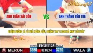 TRẬN 25 CPC3 31/3/2026