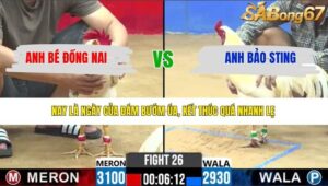 TRẬN 26 CPC2 27/3/2026