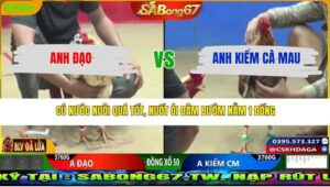 TRẬN 27 CPC2 20/3/2026