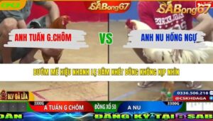 TRẬN 27 CPC2 26/3/2026