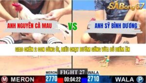 TRẬN 27 CPC3 28/3/2026