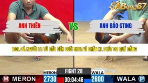 TRẬN 28 CPC2 13/3/2026