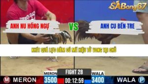 TRẬN 28 CPC2 26/3/2026