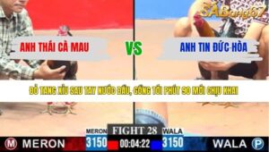 TRẬN 28 CPC3 28/3/2026