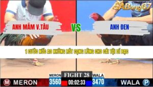 TRẬN 28 CPC3 12/3/2026