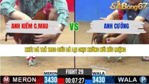 TRẬN 29 CPC2 11/3/2026