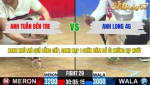 TRẬN 29 CPC2 29/3/2026