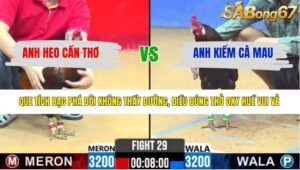 TRẬN 29 CPC2 31/3/2026