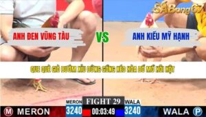 TRẬN 29 CPC3 12/3/2026