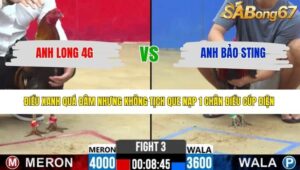 TRẬN 3 CPC2 25/3/2026