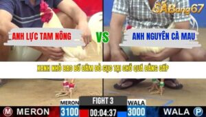 TRẬN 3 CPC2 27/3/2026