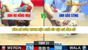 TRẬN 31 CPC2 14/3/2026