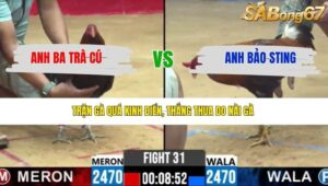 TRẬN 31 CPC2 27/3/2026