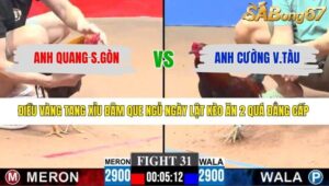 TRẬN 31 CPC3 10/3/2026