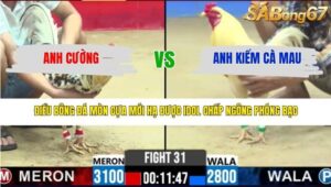 TRẬN 31 CPC3 21/3/2026