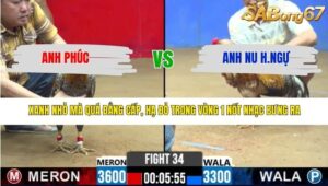 TRẬN 34 CPC2 13/3/2026