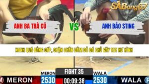 TRẬN 35 CPC2 27/3/2026