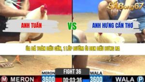 TRẬN 36 CPC2 17/3/2026