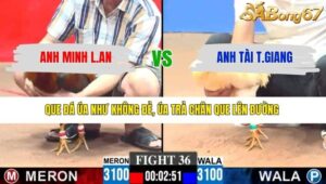 TRẬN 36 CPC3 10/3/2026