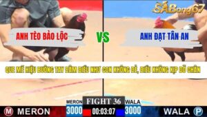 TRẬN 36 CPC3 28/3/2026