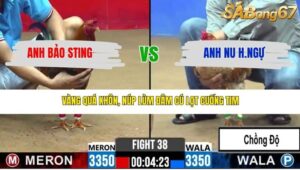 TRẬN 38 CPC2 13/3/2026