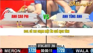 TRẬN 38 CPC3 21/3/2026