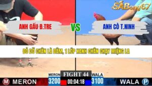 TRẬN 44 CPC3 10/3/2026