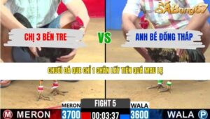 TRẬN 5 CPC2 16/3/2026