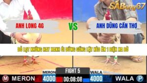 TRẬN 5 CPC2 29/3/2026