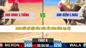 TRẬN 6 CPC2 13/3/2026