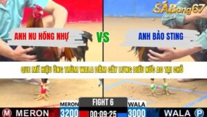 TRẬN 6 CPC2 31/3/2026