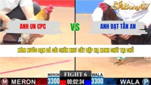 TRẬN 6 CPC3 15/3/2026