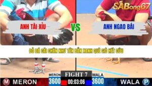 TRẬN 7 CPC3 15/3/2026