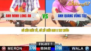 TRẬN 7 CPC3 29/3/2026