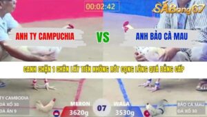 TRẬN 7 XÀ XÍA 15/3/2026