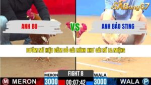 TRẬN 8 CPC2 14/3/2026