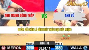 TRẬN 8 CPC2 16/3/2026