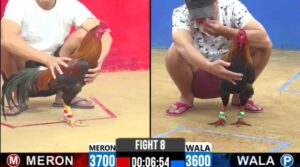 TRẬN 8 CPC2 24/3/2026