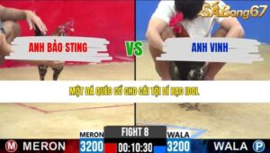 TRẬN 8 CPC2 25/3/2026