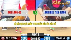 TRẬN 8 CPC2 31/3/2026