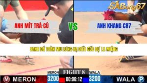 TRẬN 8 CPC3 22/3/2026