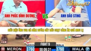 TRẬN 9 CPC2 17/3/2026