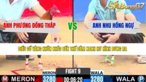 TRẬN 9 CPC2 31/3/2026