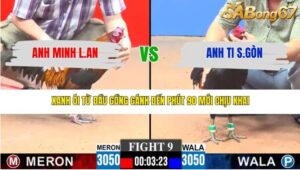 TRẬN 9 CPC3 15/3/2026